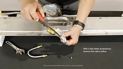 With a flat blade screwdriver, remove the valve orifice