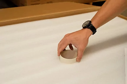 unboxing-carton-05.jpg